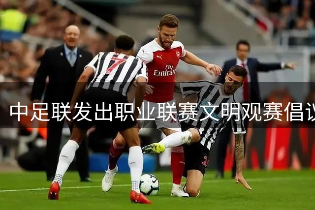 中足联发出职业联赛文明观赛倡议 呼吁净化观赛环境
