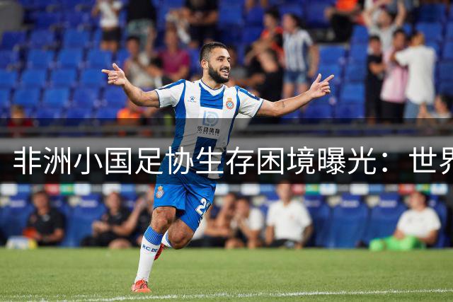 非洲小国足协生存困境曝光：世界杯股份争议背后的资金困局